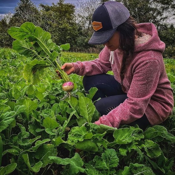 Show Stopper deer food plot seeds 3 lbs - Picture 2 of 7